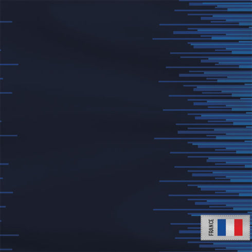 France Soccer Flag Wii Remote Controller Skin